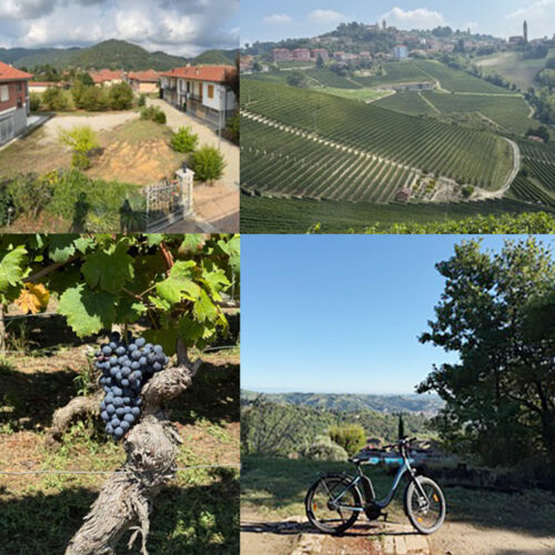 De fietsvakantie is ons uitstekend bevallen